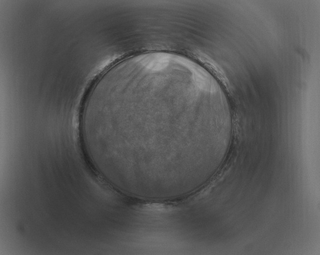 X0000116450298200912291952