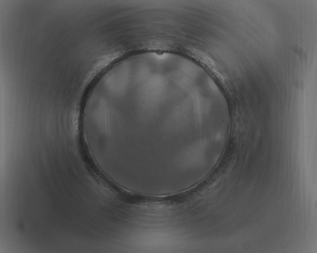 X0000116450299200912291952