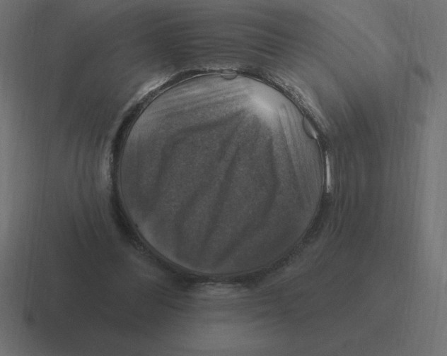 X0000116450300200912291952