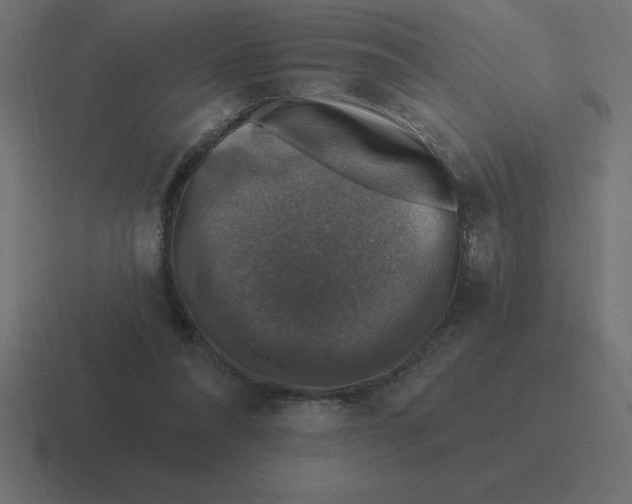X0000116450304200912291952