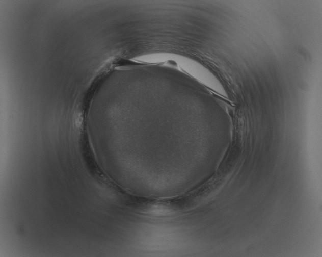 X0000116450308200912291952