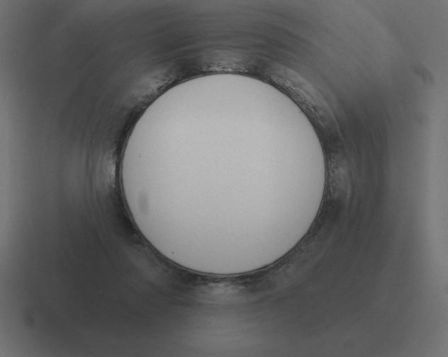 X0000116450310200912291952