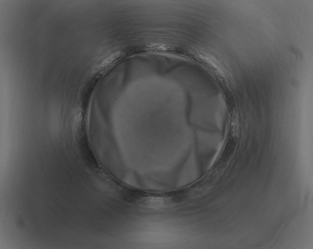 X0000116450314200912291952