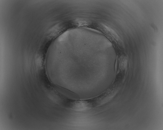 X0000116450316200912291952