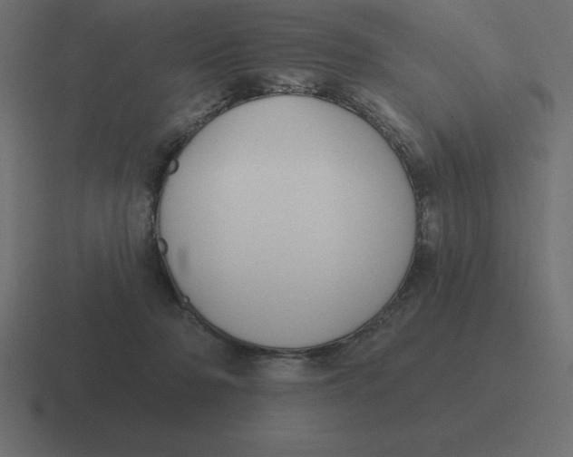 X0000116450318200912291952
