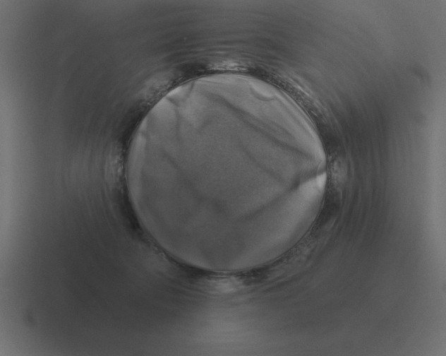 X0000116450322200912291952