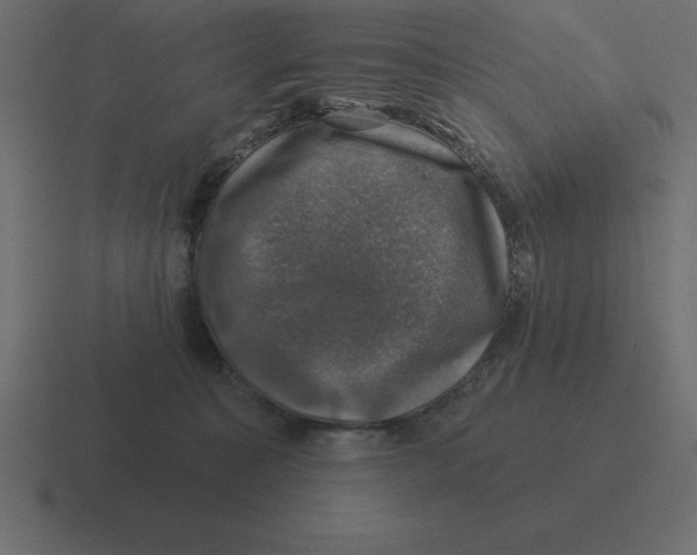 X0000116450323200912291952