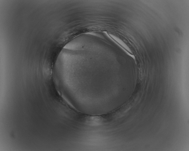 X0000116450324200912291952
