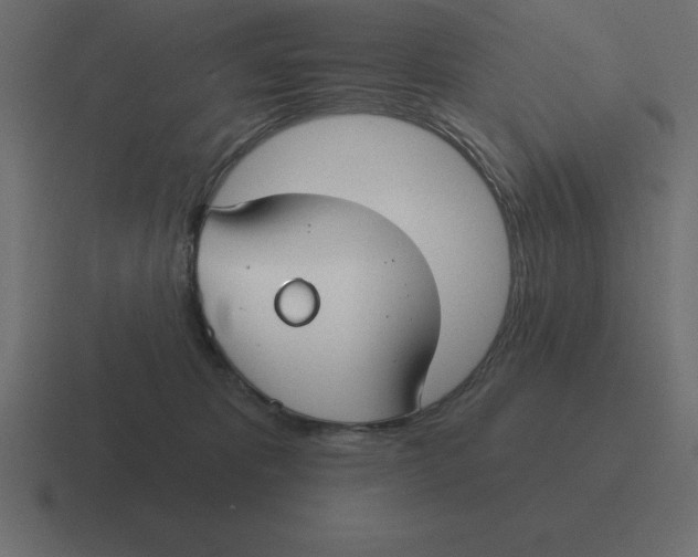 X0000116450325200912291952