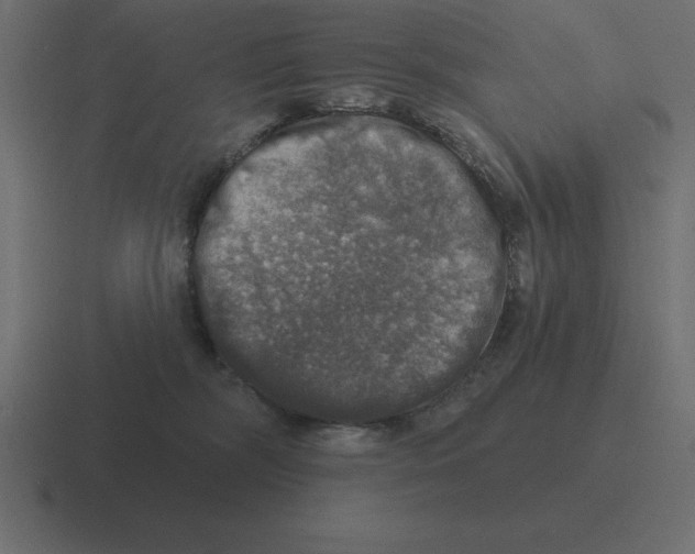 X0000116450326200912291952