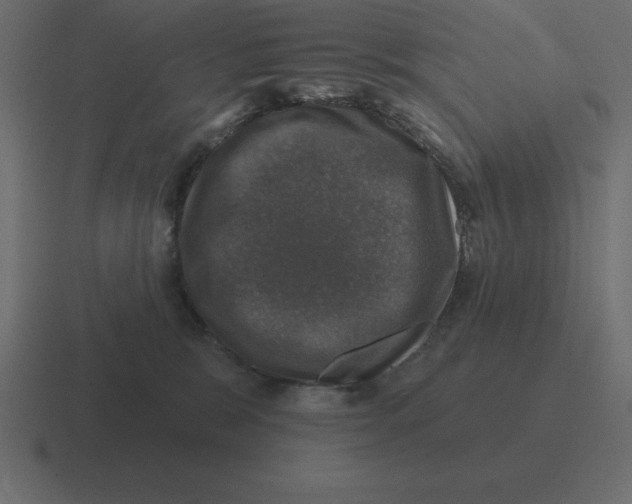 X0000116450327200912291952