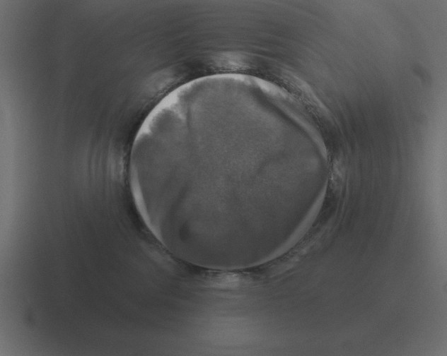 X0000116450330200912291952