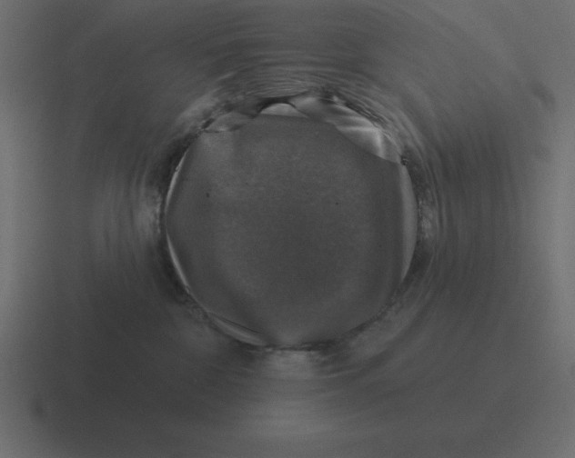X0000116450332200912291952