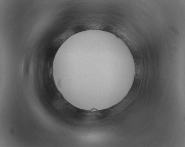 X0000116450334200912291952