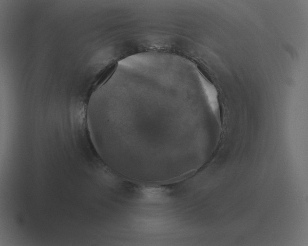 X0000116450336200912291952