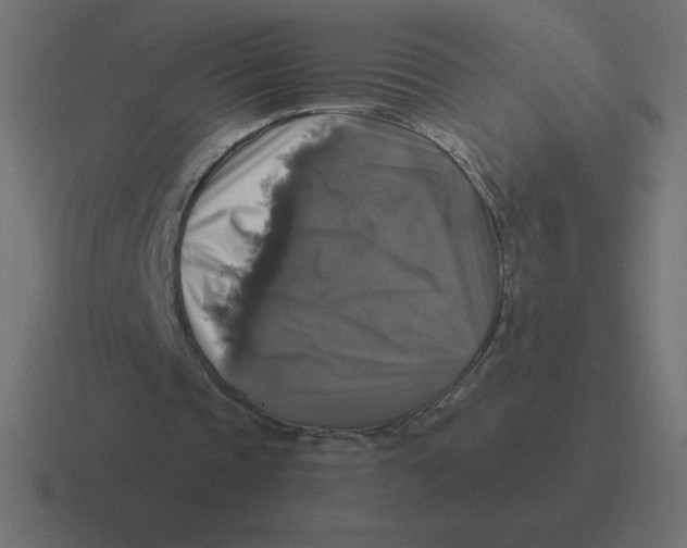 X0000116450337200912291951