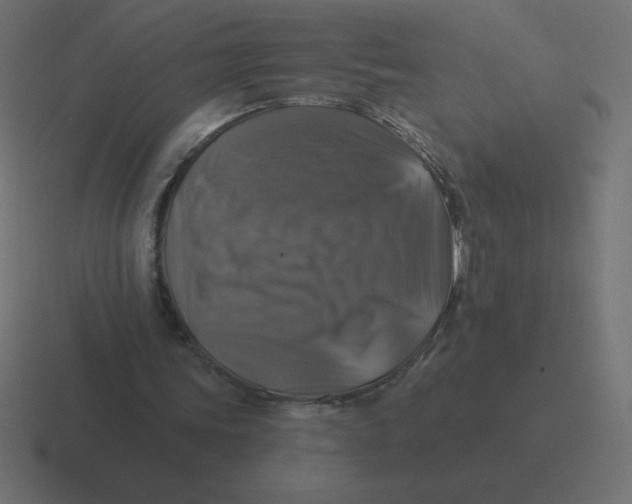 X0000116450339200912291951