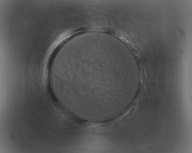 X0000116450343200912291951