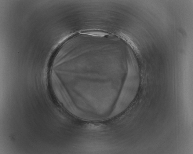 X0000116450346200912291952