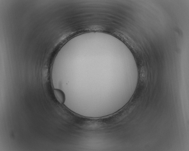 X0000116450351200912291952