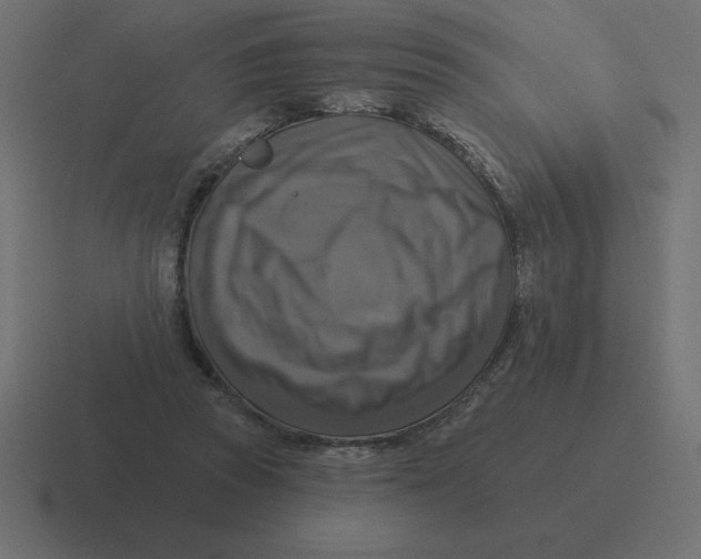 X0000116450353200912291952