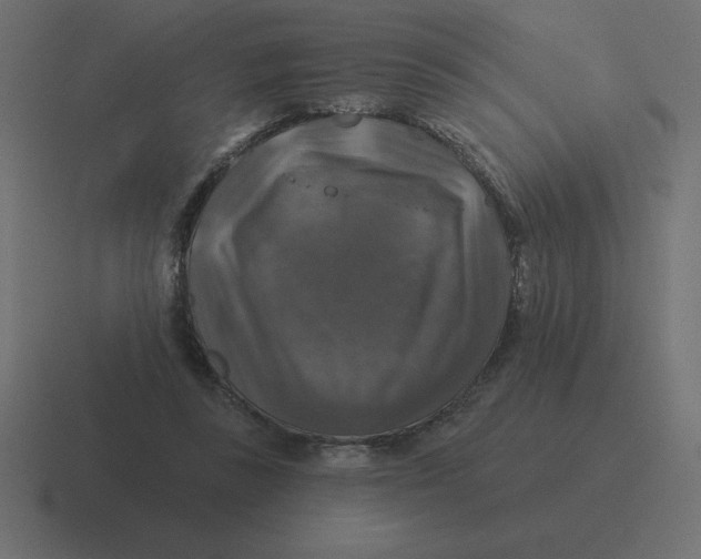 X0000116450355200912291952