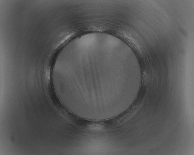 X0000116450358200912291952