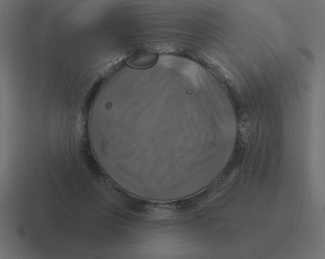 X0000116450359200912291952