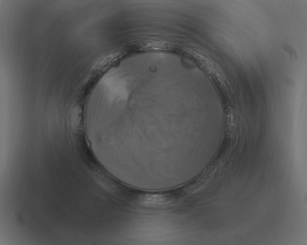 X0000116450361200912291952