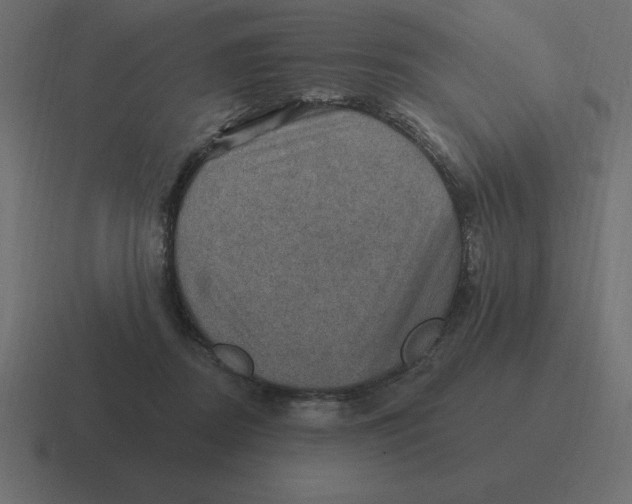 X0000116450362200912291952