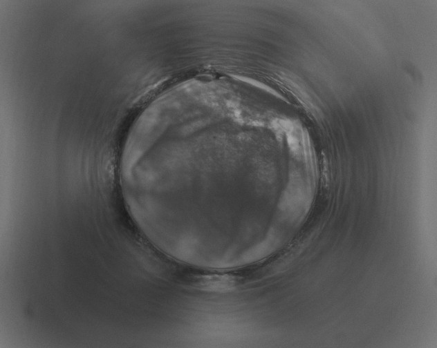 X0000116450363200912291952
