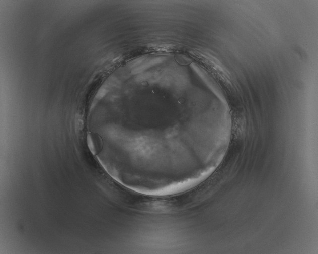 X0000116450365200912291952