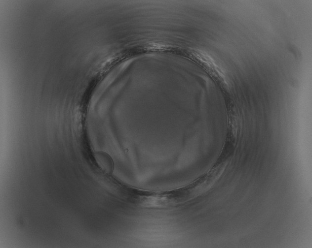 X0000116450366200912291952