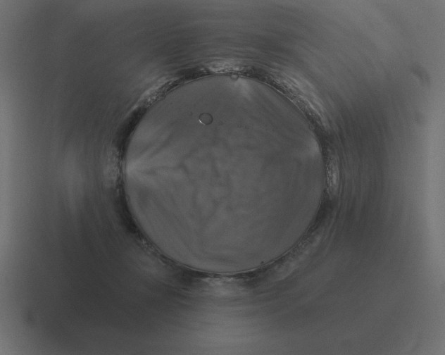 X0000116450367200912291952