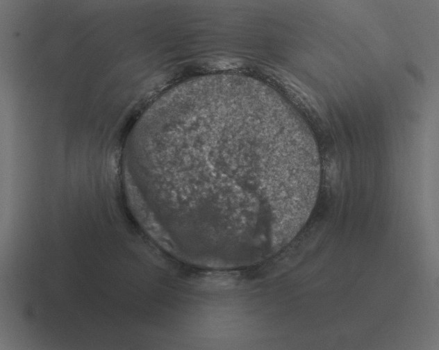 X0000116450373200912291952
