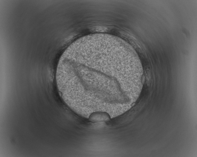 X0000116450374200912291952