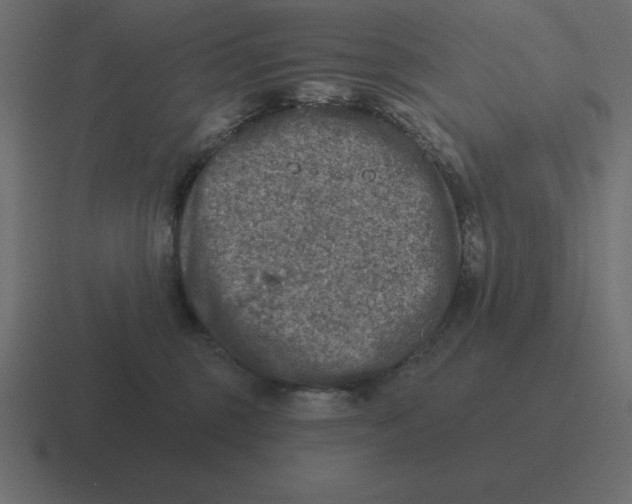 X0000116450375200912291952