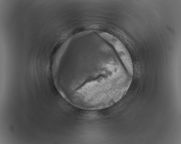 X0000116450377200912291952