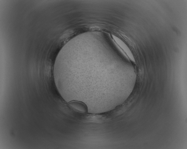 X0000116450379200912291952