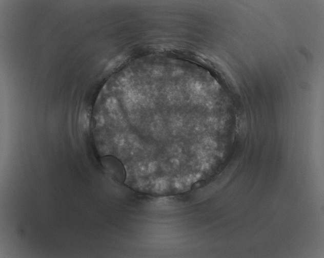 X0000116450382200912291952