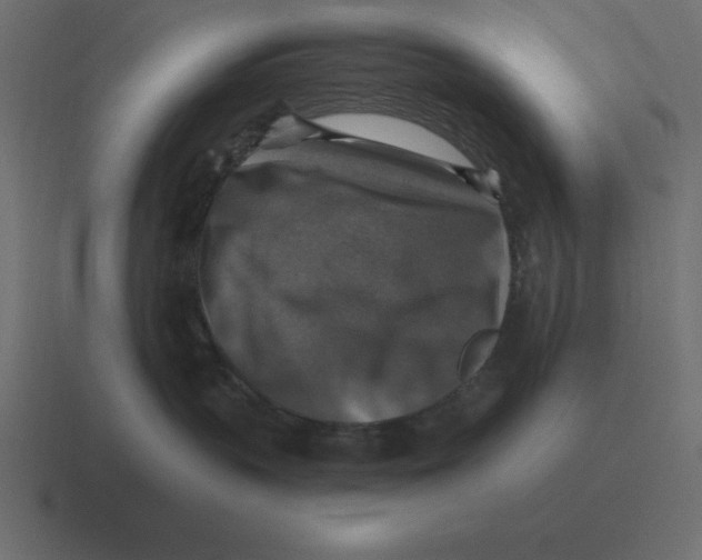 X0000116450383200912291952