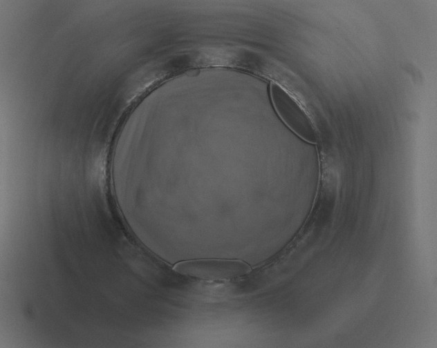 X0000116450386200912291951