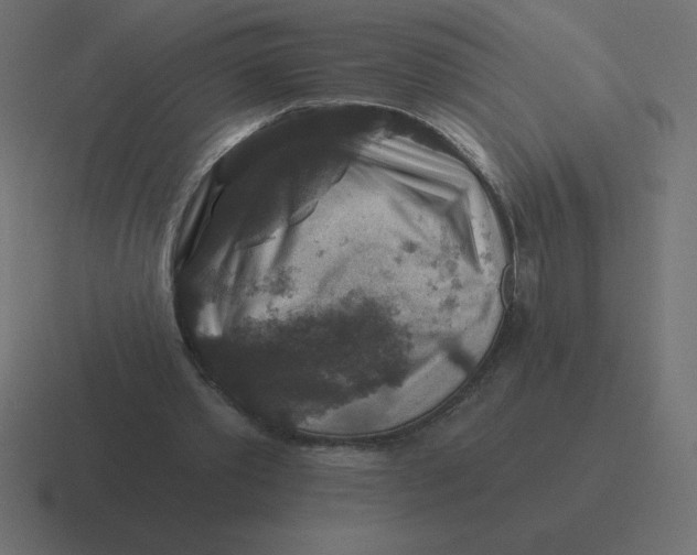 X0000116450389200912291951