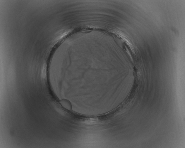 X0000116450398200912291951