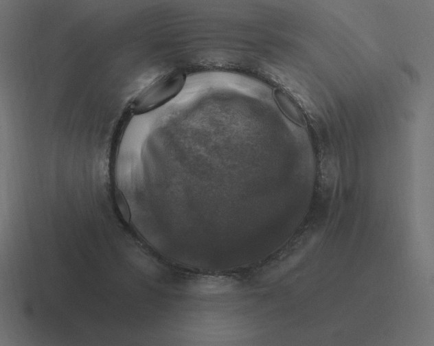X0000116450399200912291951