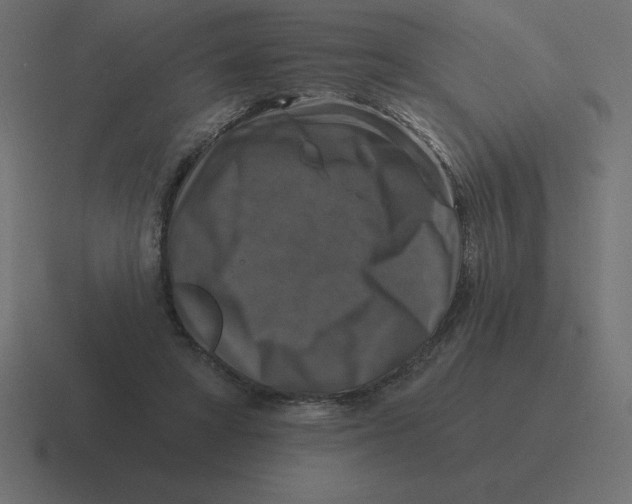 X0000116450402200912291951
