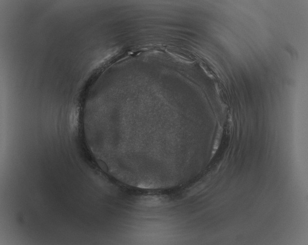 X0000116450404200912291951