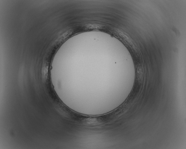 X0000116450406200912291951