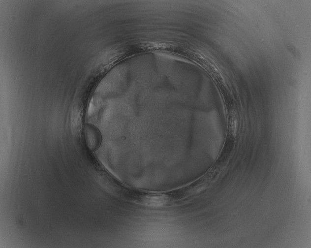X0000116450410200912291951