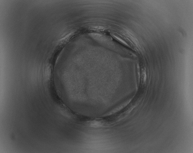 X0000116450412200912291951